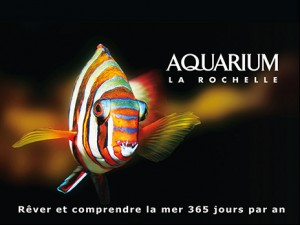 aquarium_la_rochelle